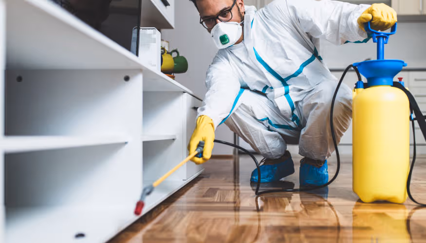 شركة رش مبيدات بالقويعية