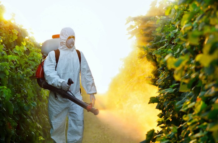 شركة رش المبيدات في الدوادمي