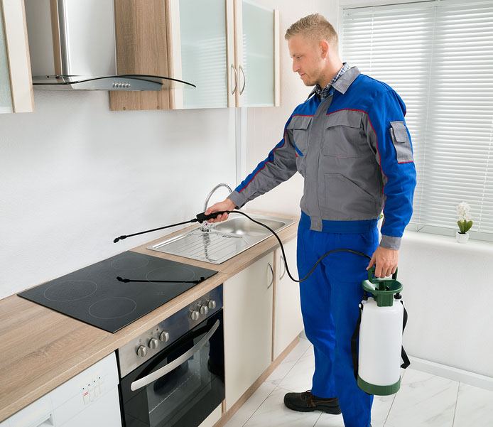 شركه رش مبيدات بالرويضه